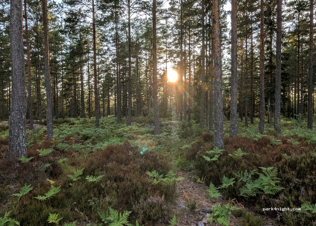(570 81) Järnforsen - Unnamed Road photo 3