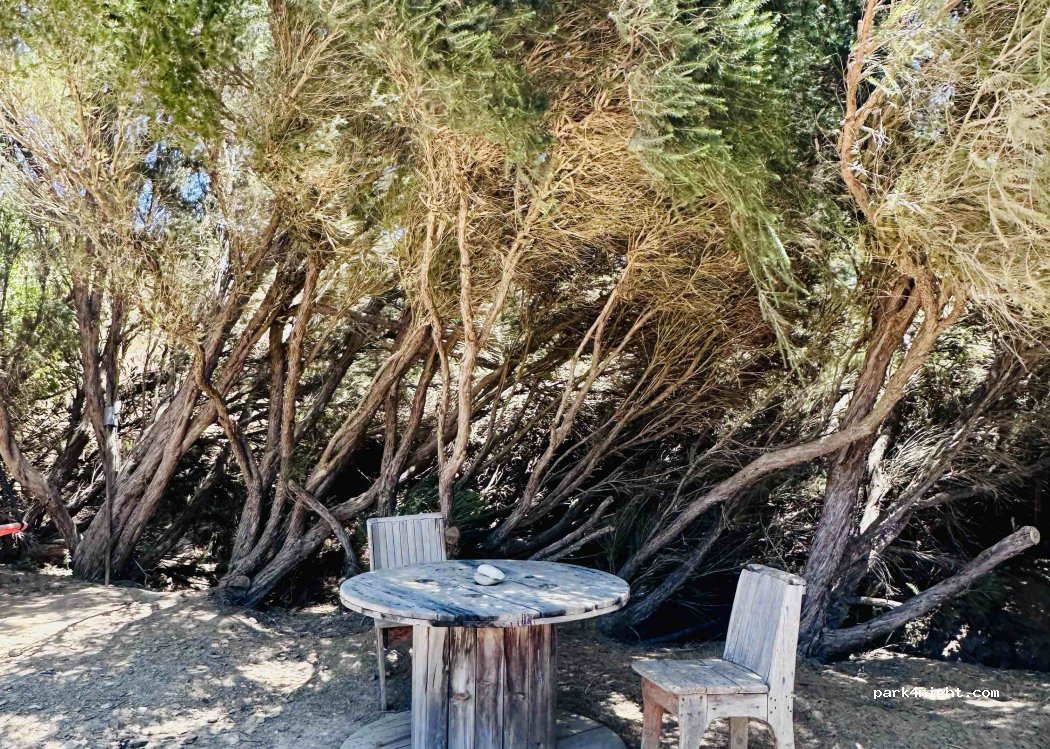 Quinta Moosaik thumbnail 3