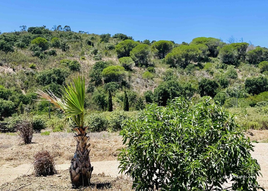 Quinta Moosaik thumbnail 4