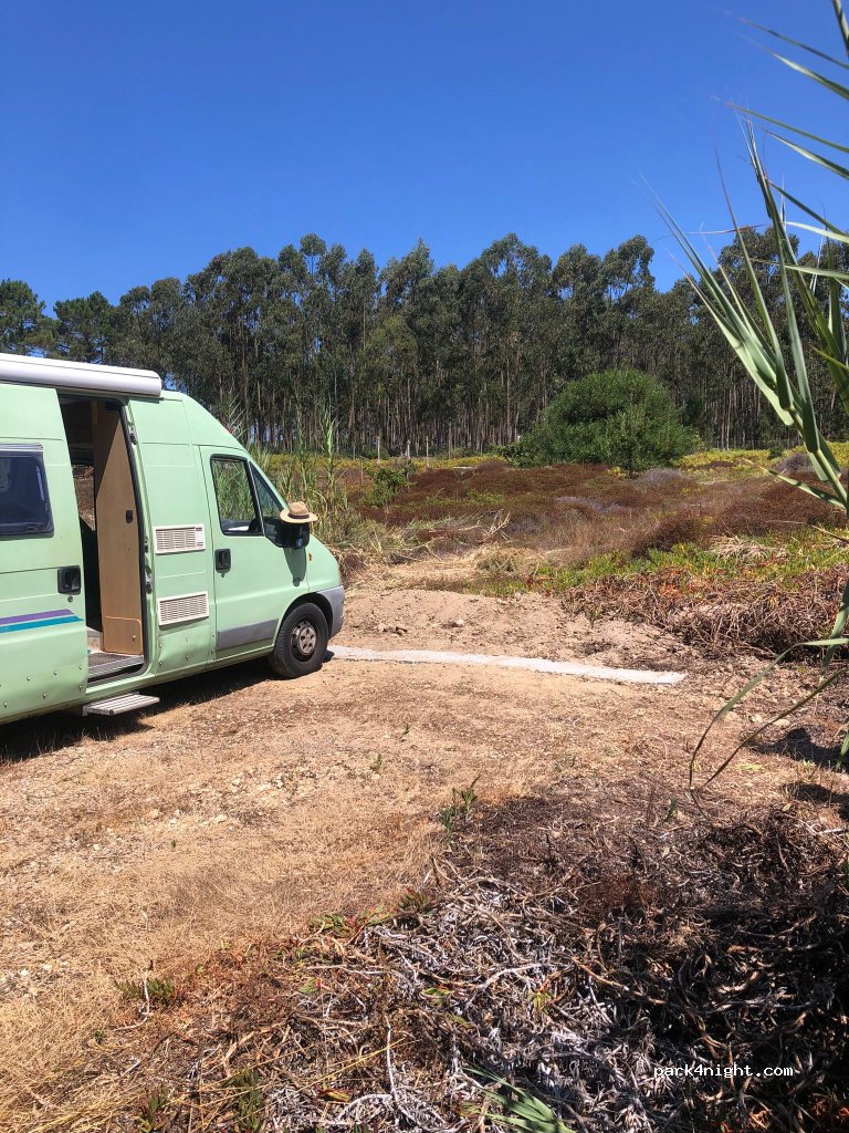 Camper space on a small organic farm thumbnail 4