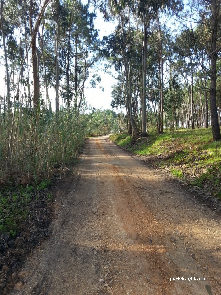 Camper space on a small organic farm thumbnail 7
