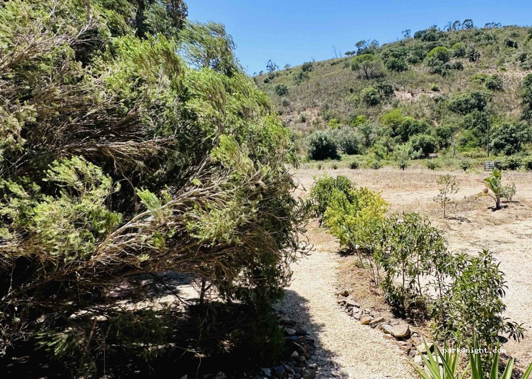 Quinta Moosaik thumbnail 5