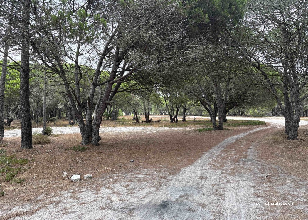 Castelo,Praia do Posto thumbnail 2