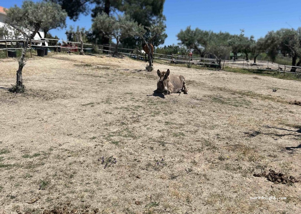 Quinta Pena Dourada thumbnail 3