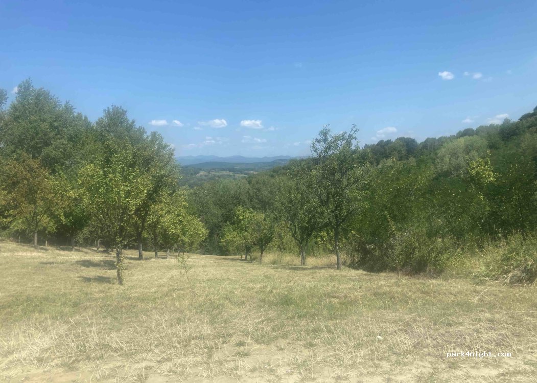(117743) - Unnamed Road - Photo 3