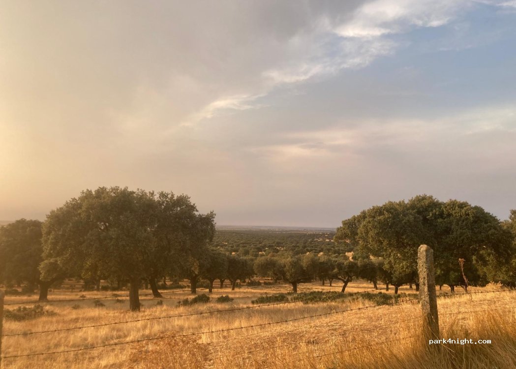 Matilla de los Caños del Río,  Camino Canillas de Arriba thumbnail 5