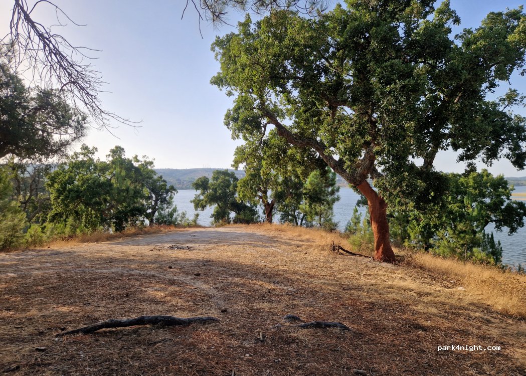 Montargil,  Unnamed Road thumbnail 3