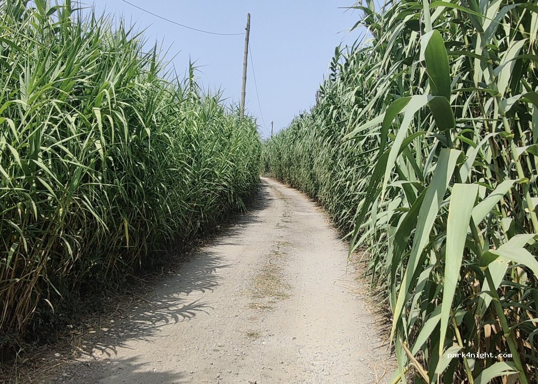 São Félix da Marinha, 120 Rua Moínho de Vento thumbnail 4