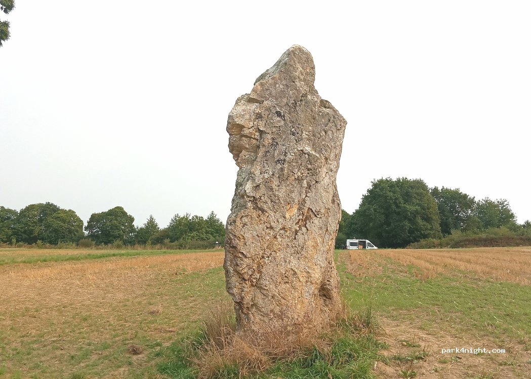Médréac - Carcouvran photo 4