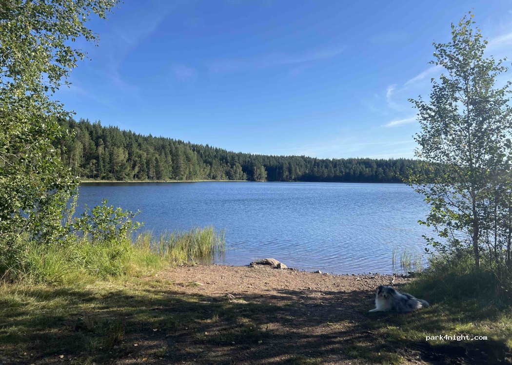 Arvika - Tomta-Finnviken photo 2