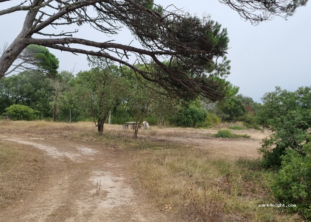 Quiaios, Unnamed Road thumbnail 5