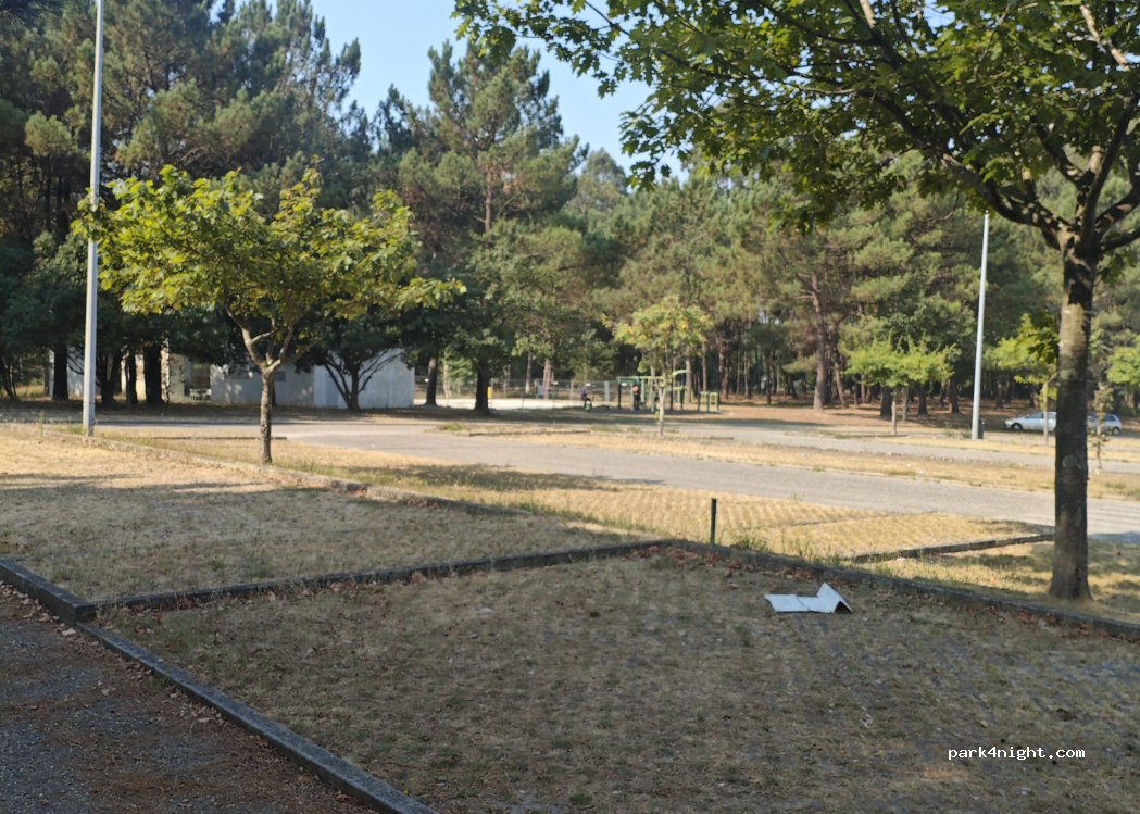 Rua da Nave, Anta - photo 1