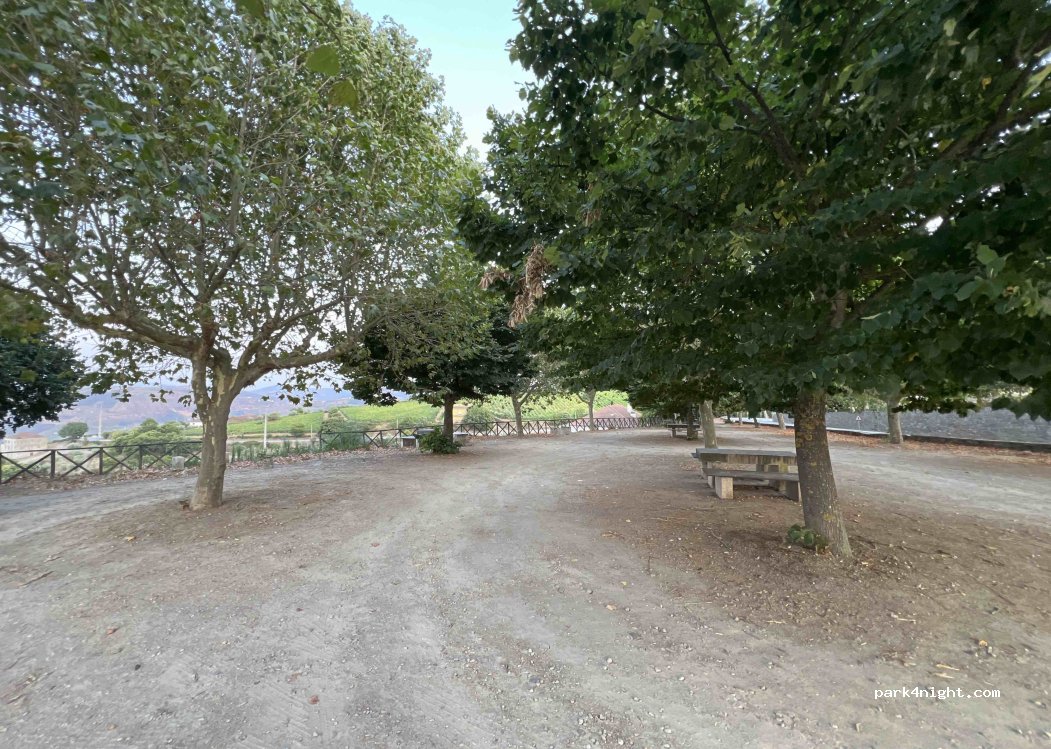 Provesende,N323 thumbnail 4