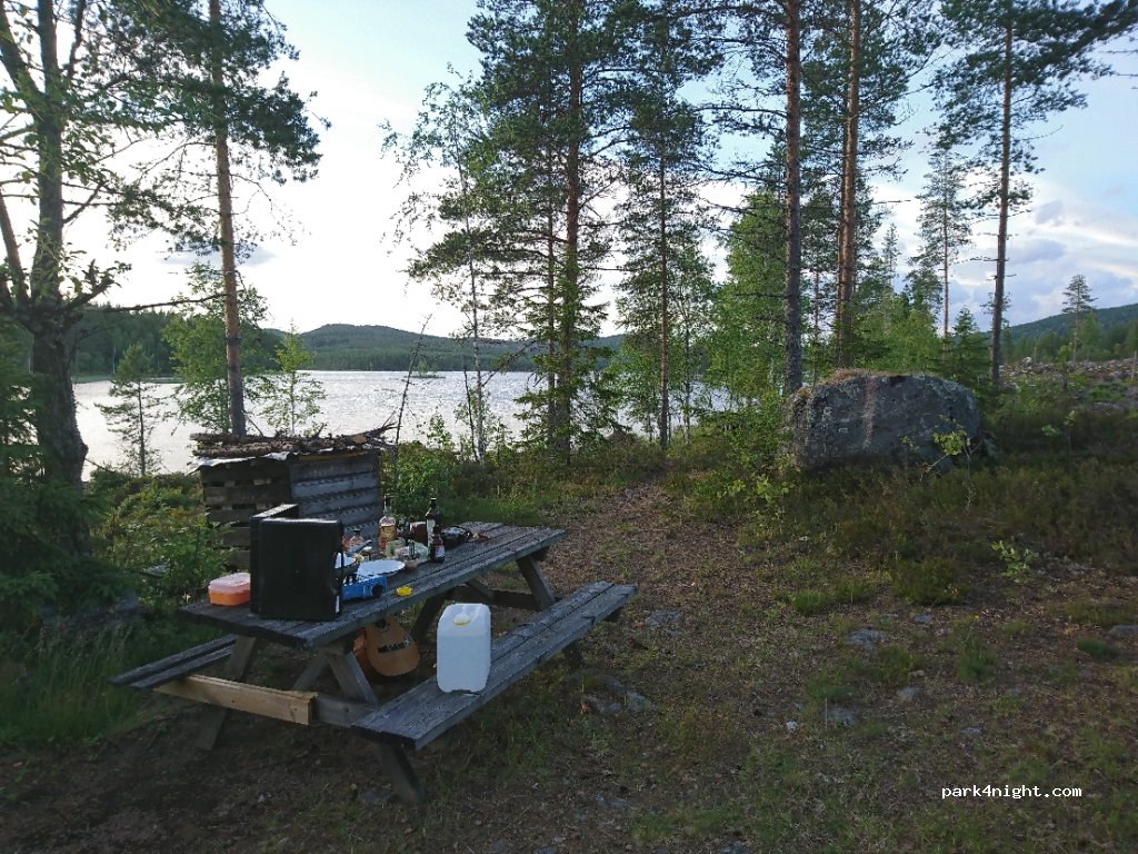 undefined photo 3