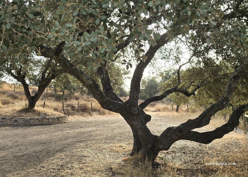 Camino Viejo, Badajoz thumbnail 2