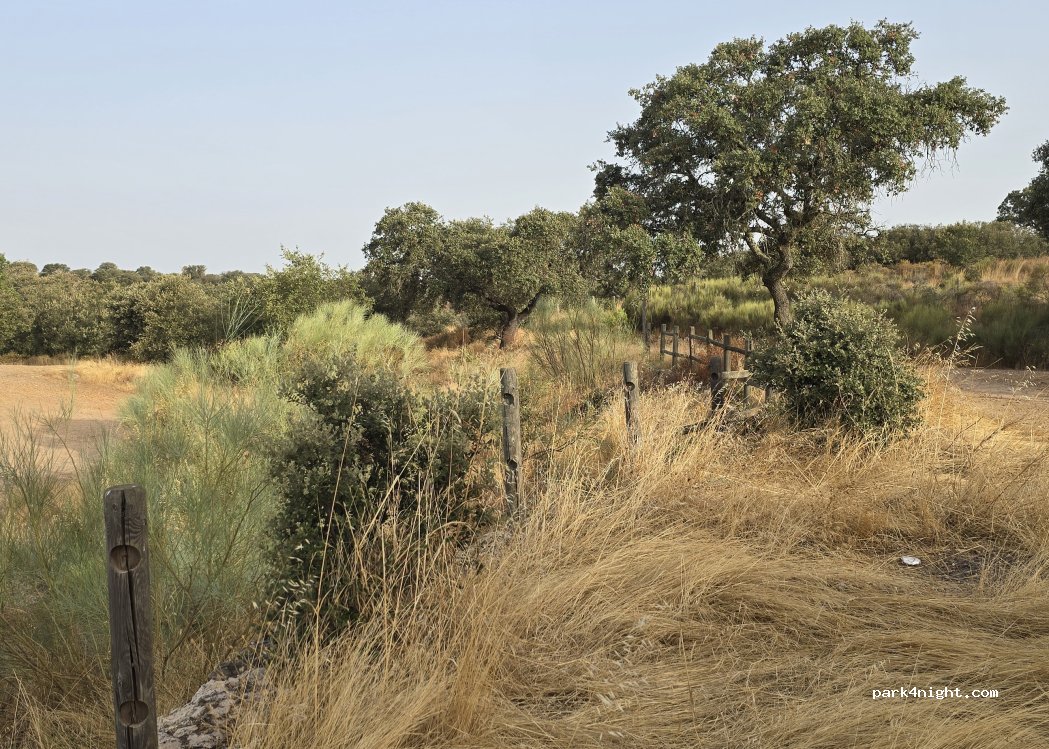 Camino Viejo, Badajoz thumbnail 3