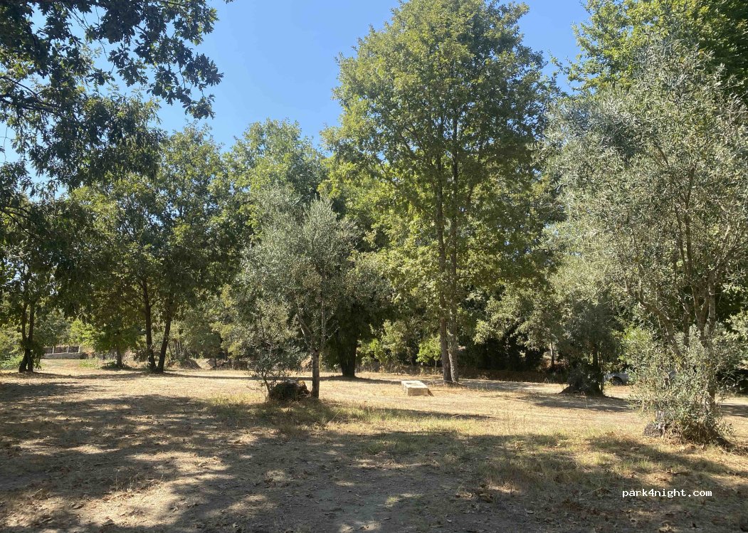 Ston's Camping thumbnail 4