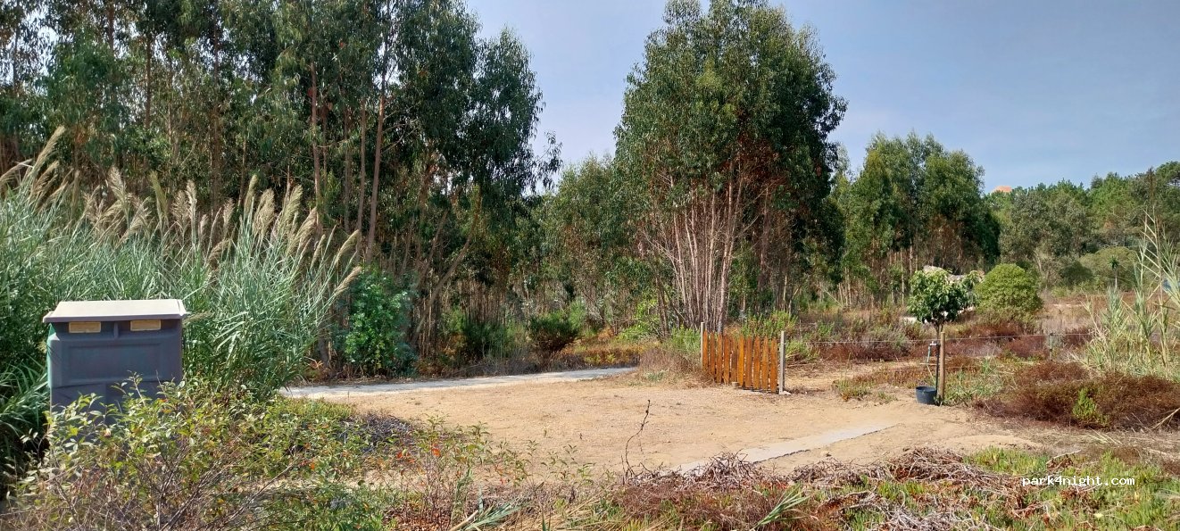 Camper space on a small organic farm