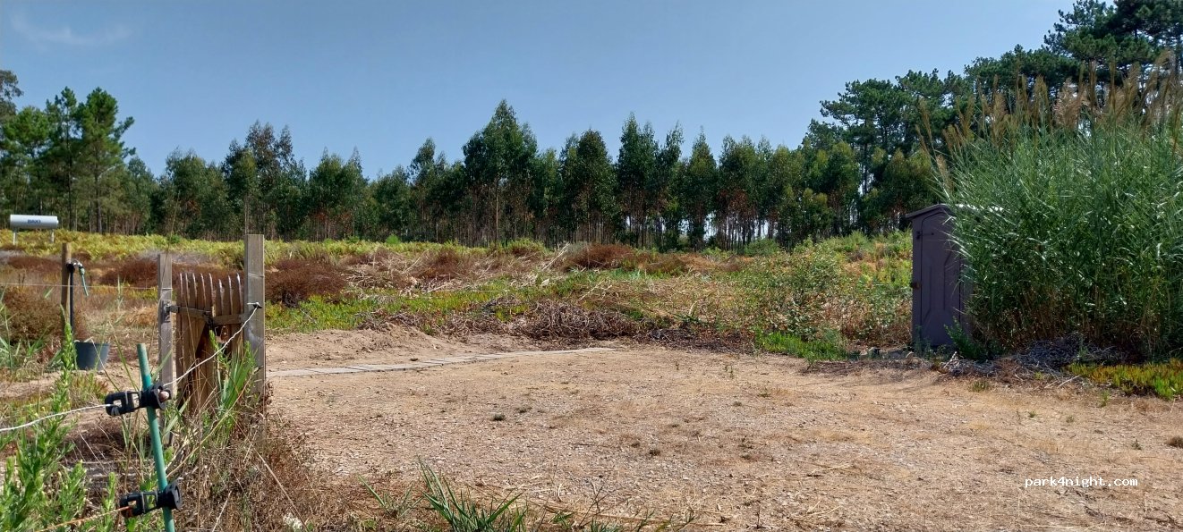 Camper space on a small organic farm thumbnail 3