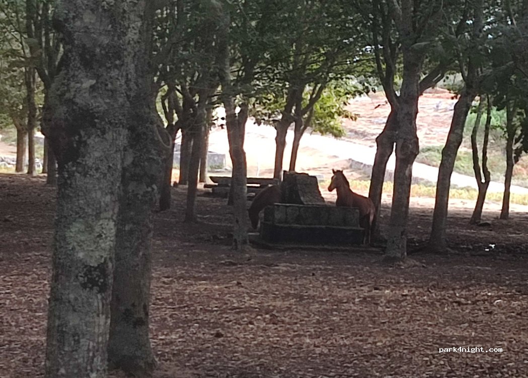 Oia,Unnamed Road thumbnail 4