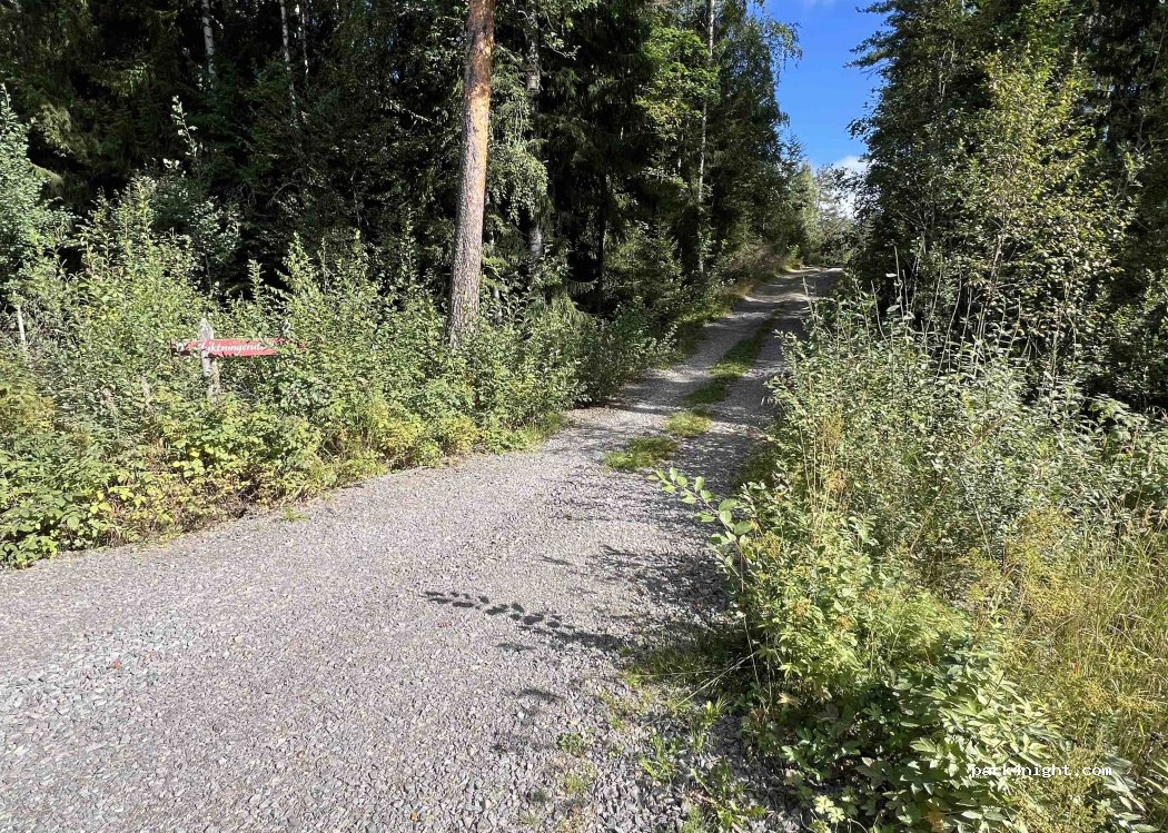 4 Sekundær Fylkesveg 166 photo 3