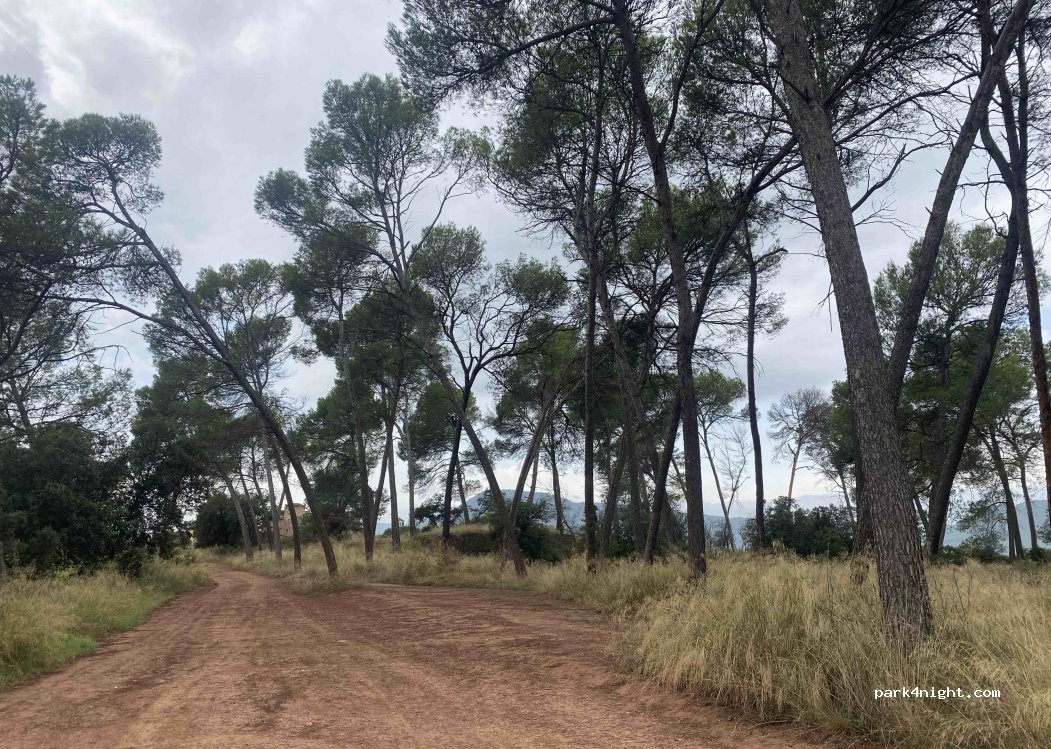 Sant Joan de Vilatorrada - Unnamed Road photo 5