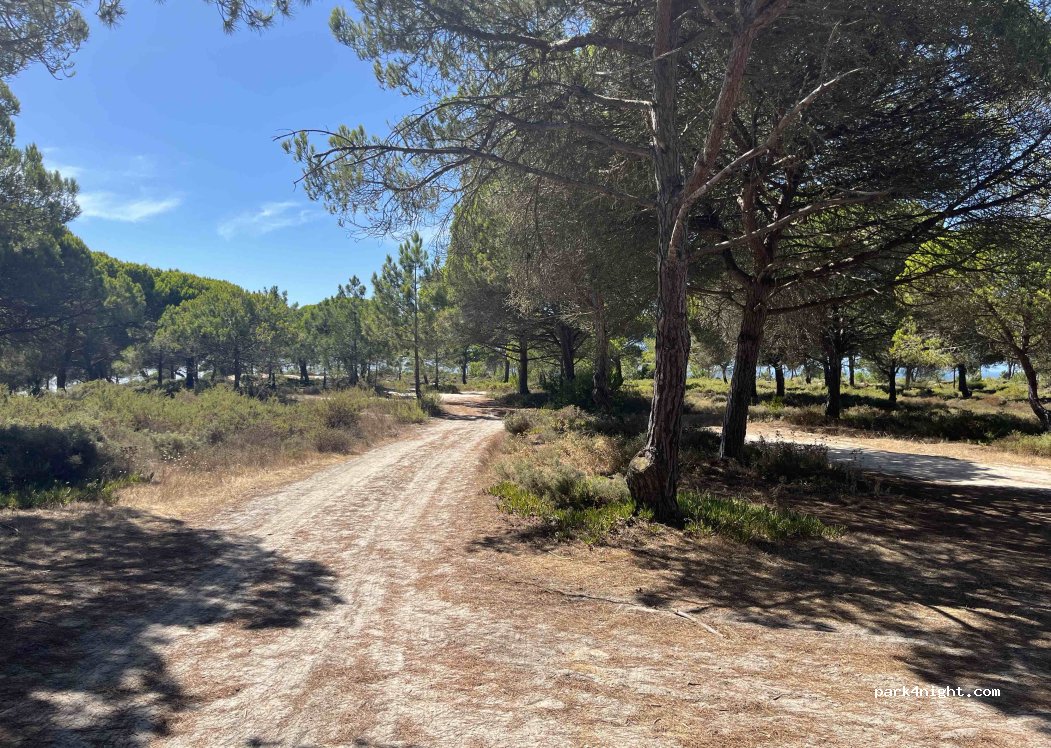 Castelo,Praia do Posto thumbnail 4