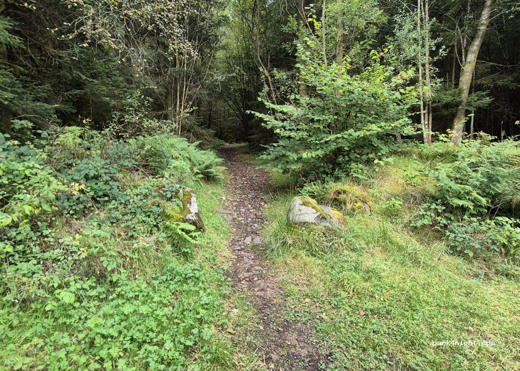park4night - (DG7 3RX) Castle Douglas - A762