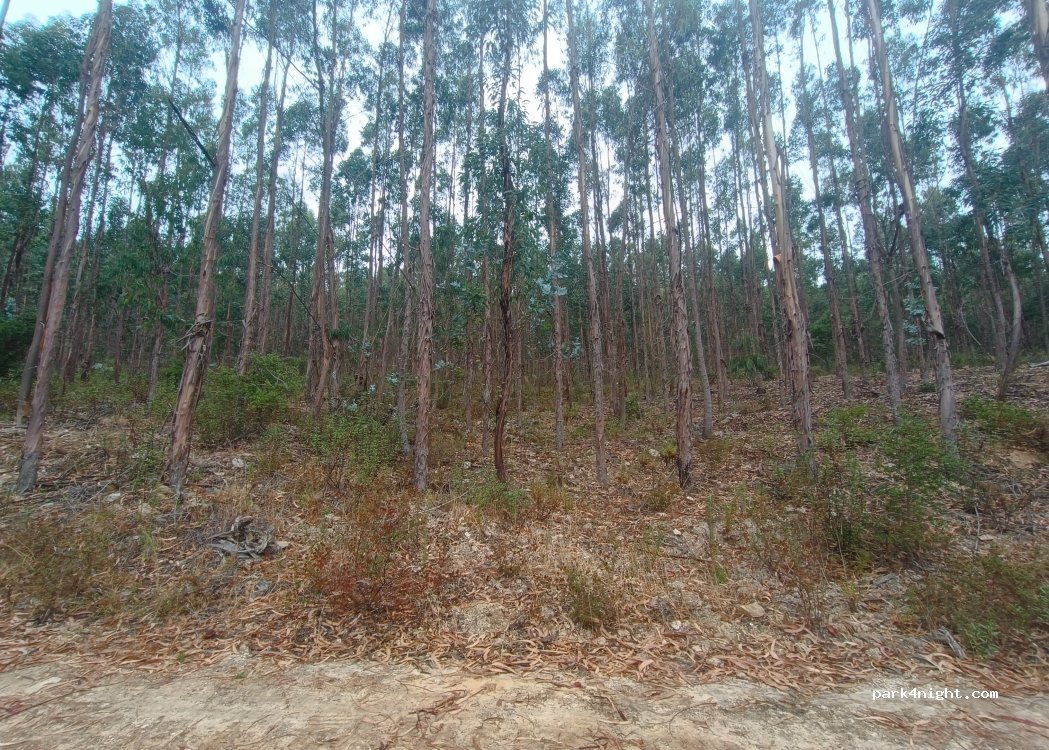 São Luís, Beja thumbnail 2