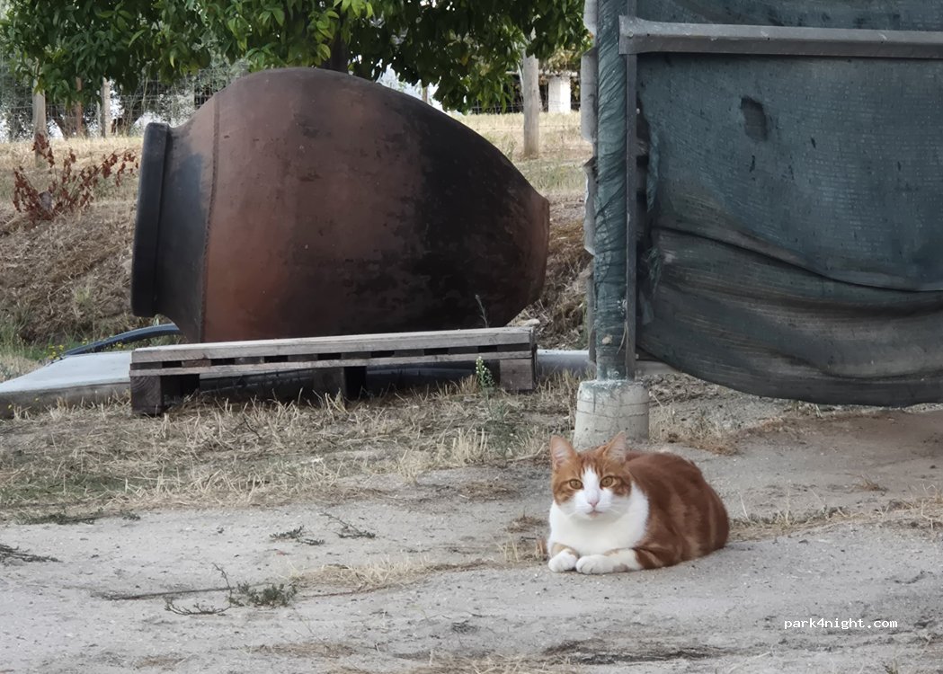 ENCOSTA DO PINHAL thumbnail 3