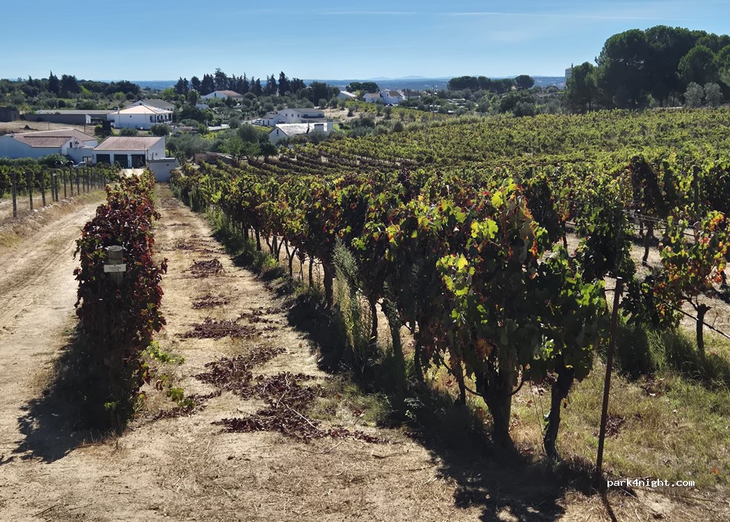 ENCOSTA DO PINHAL thumbnail 4