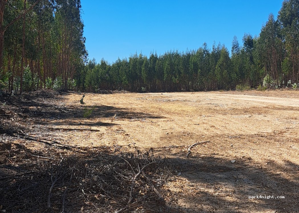 Amieira do Tejo, thumbnail 2