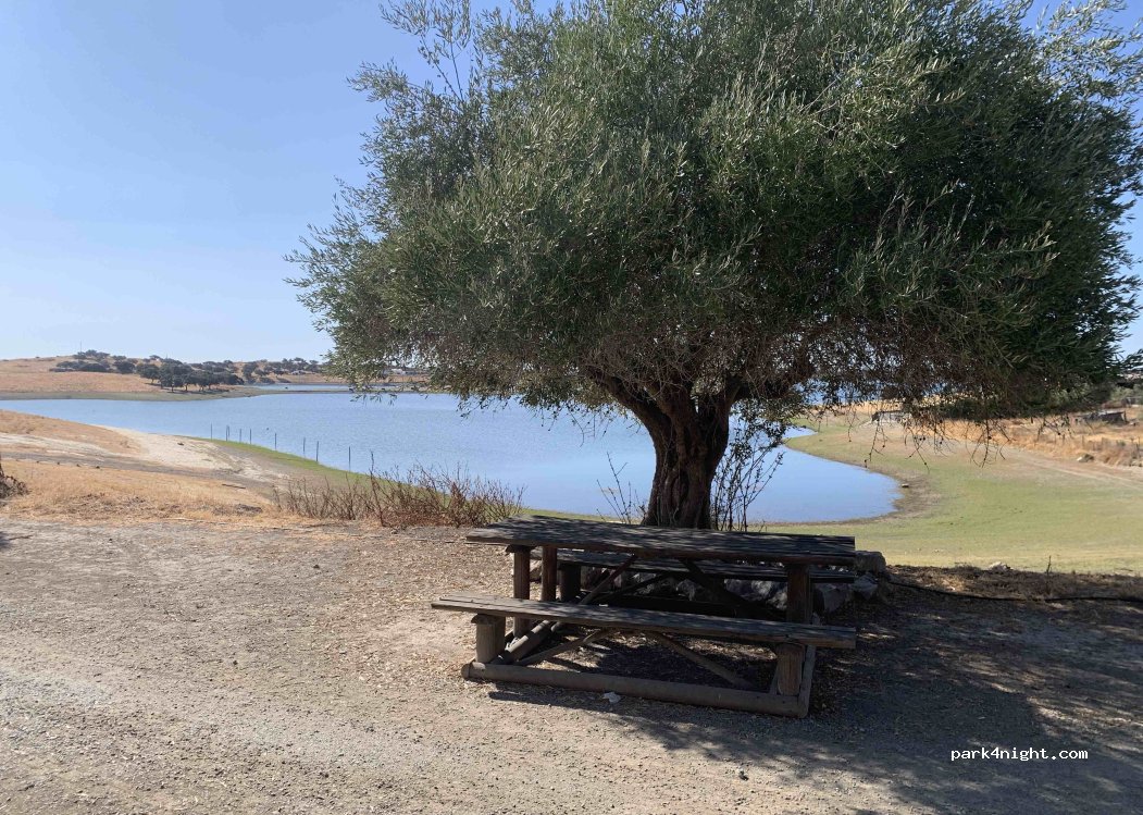 Estrela,4 Rua da parreir thumbnail 3