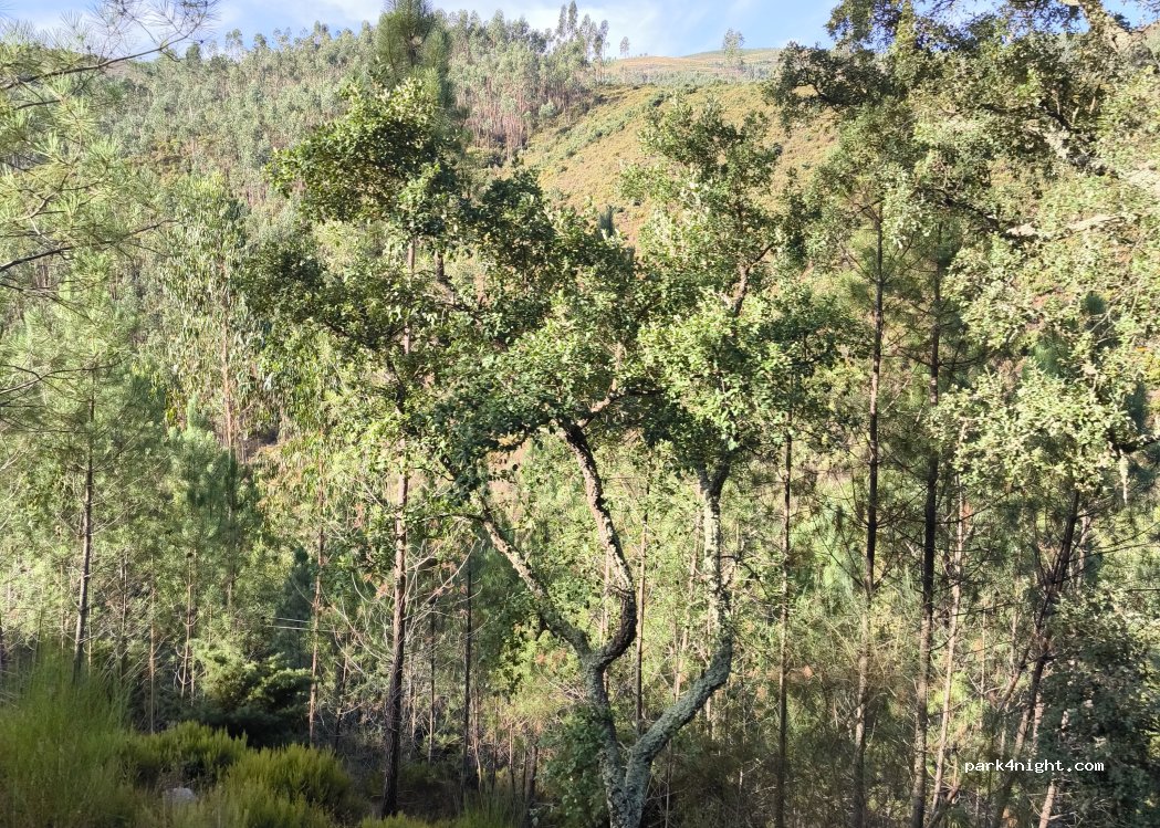 EM 510, Moldes - photo 1