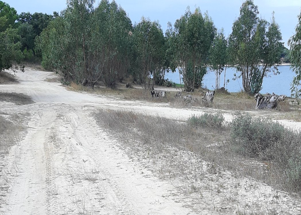 Foros de Salvaterra, thumbnail 3