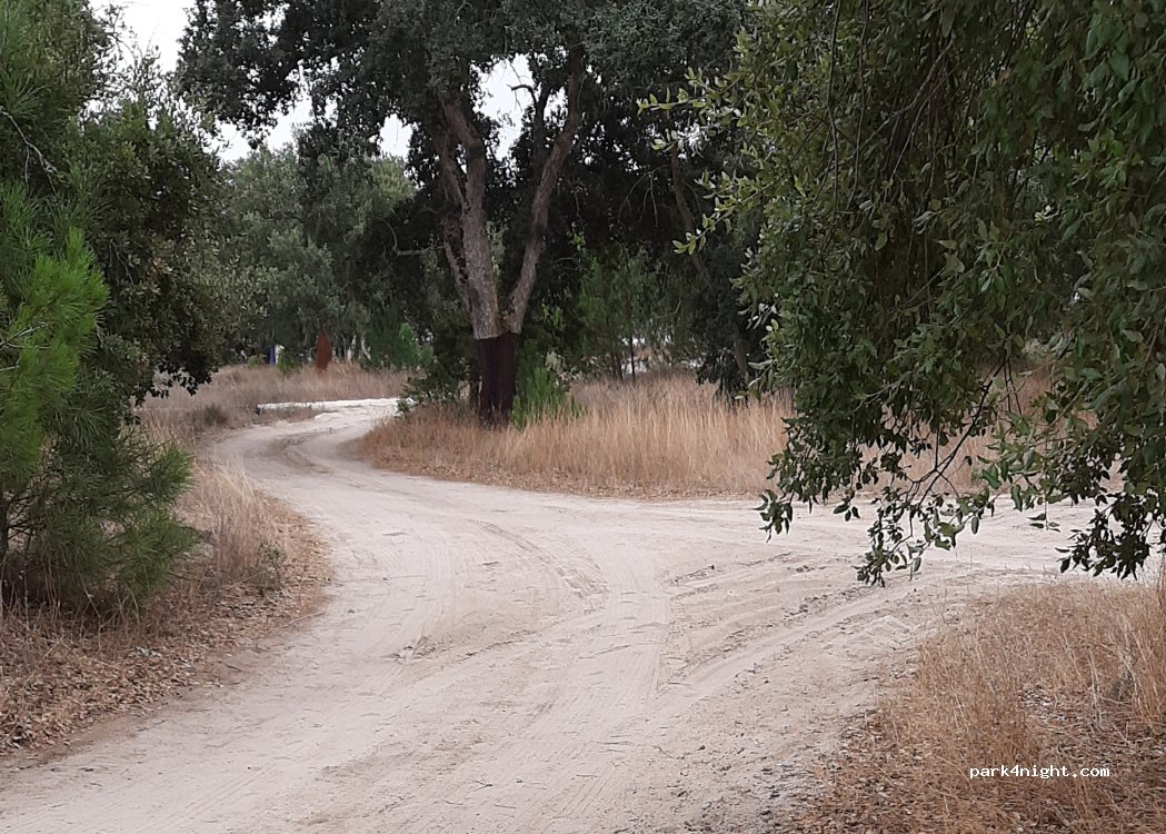 Foros de Salvaterra, thumbnail 4