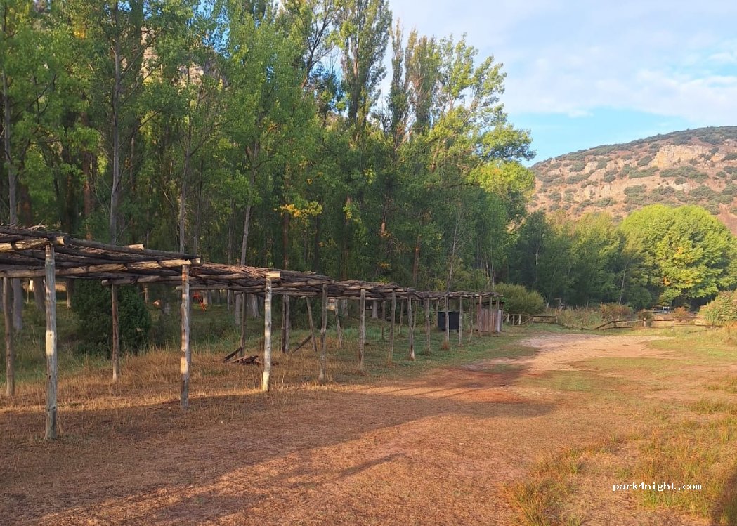 Royuela - A-1704 photo 5