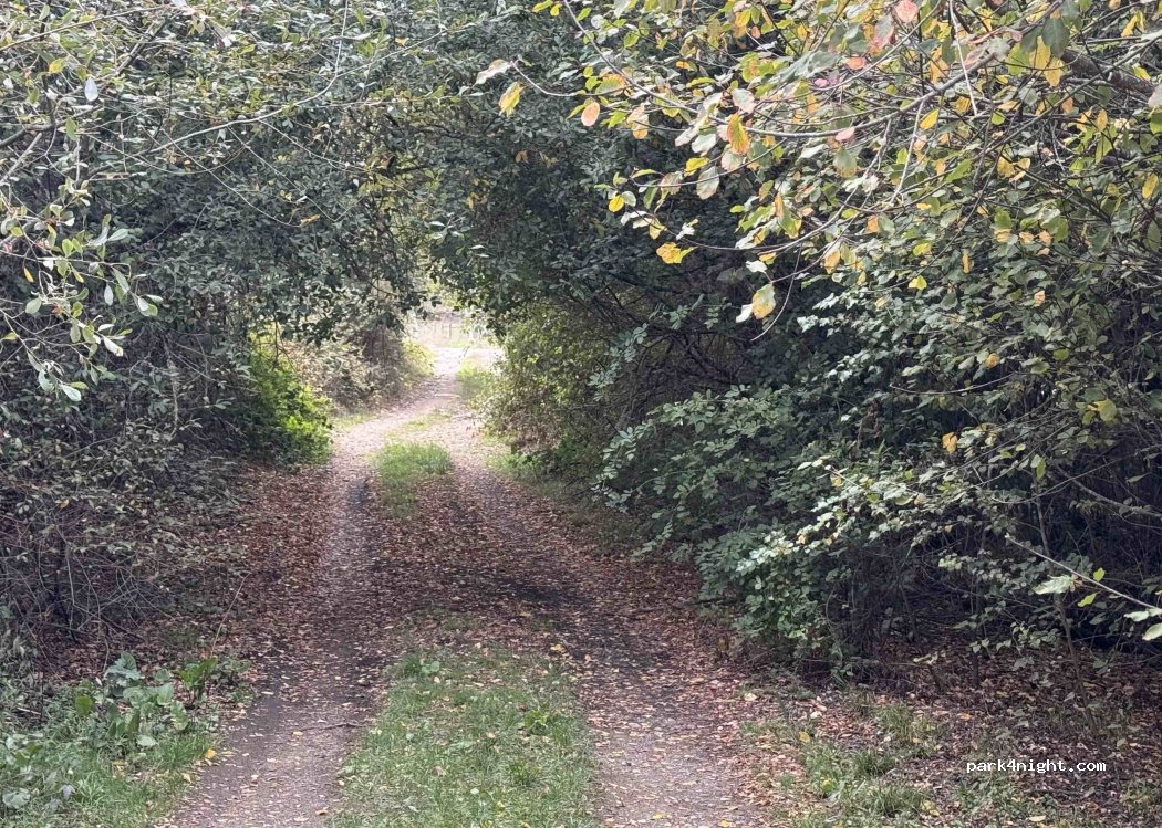 A Edrada, thumbnail 5