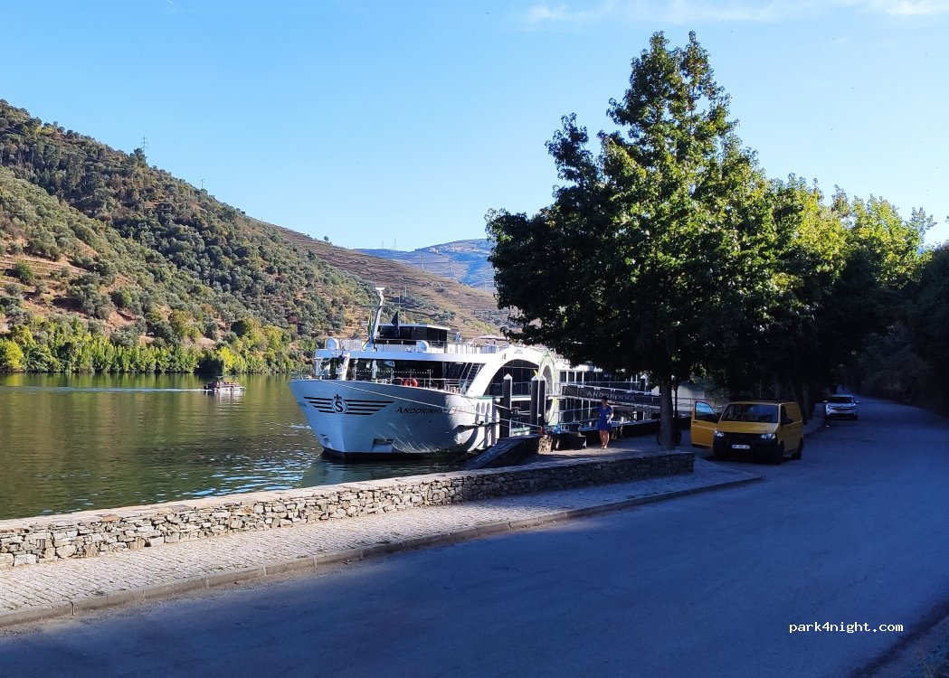 Pinhão,  EM590 thumbnail 4