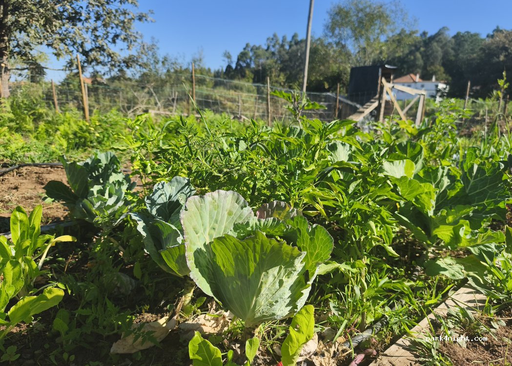 Quintinha dos Quivis thumbnail 2