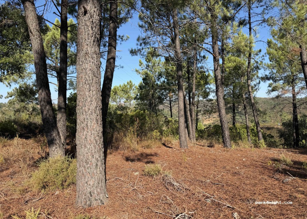 São Brás de Alportel, Faro thumbnail 2