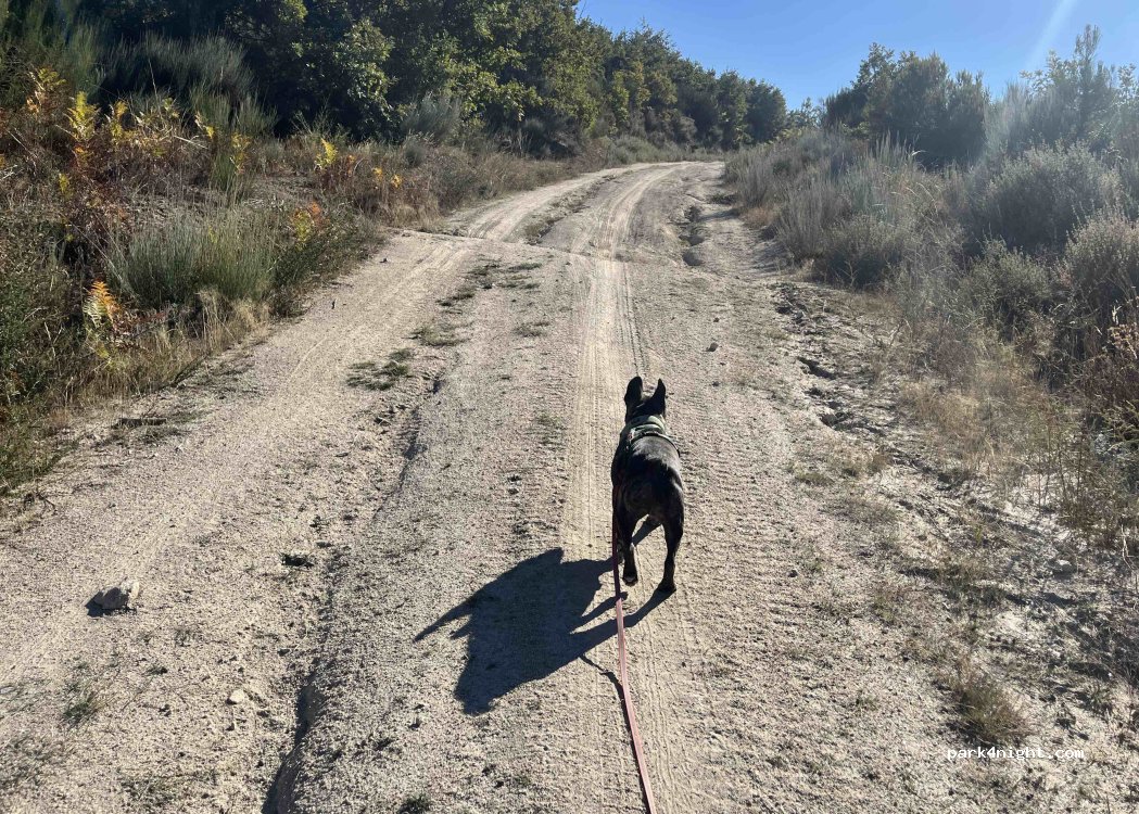 ,  Unnamed Road thumbnail 5