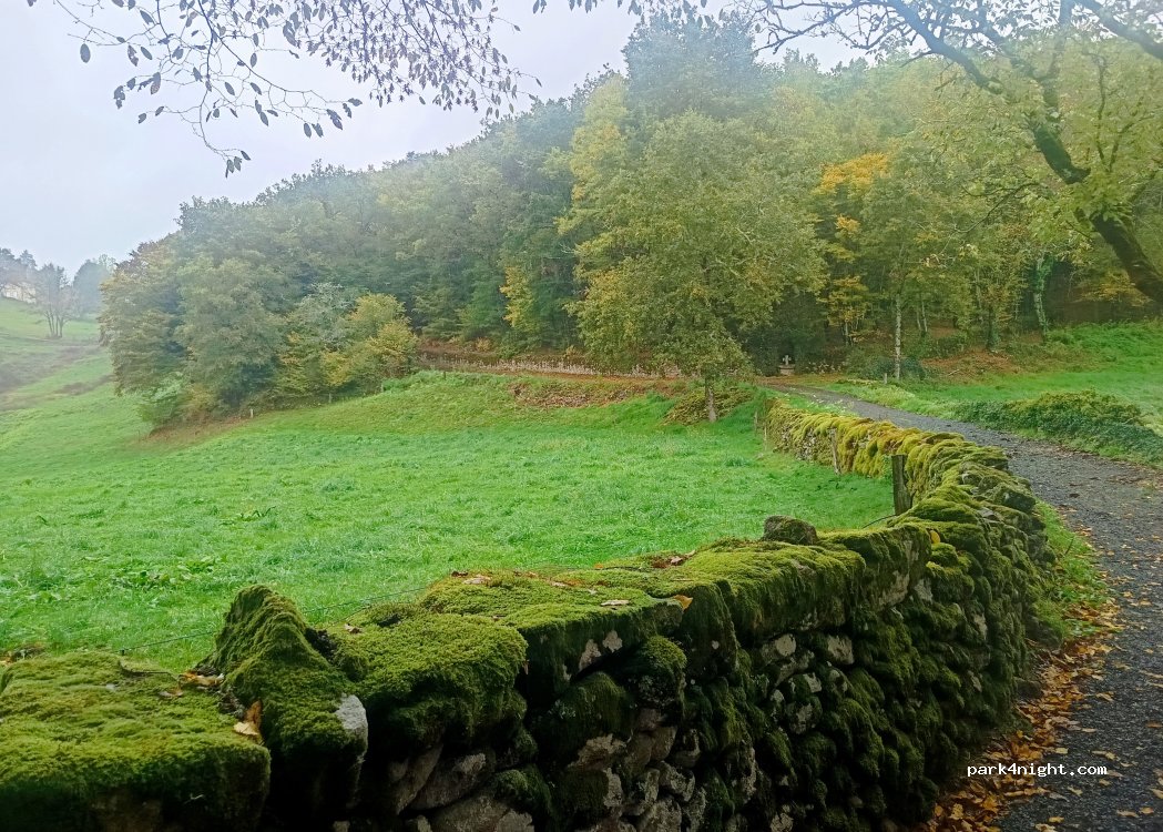 Saint-Julien-aux-Bois - Saint-Pierre photo 2