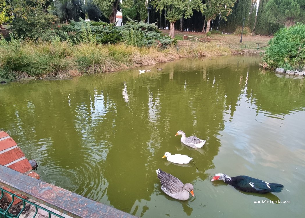 Aracena, 27 Barriada Obras Públicas thumbnail 5