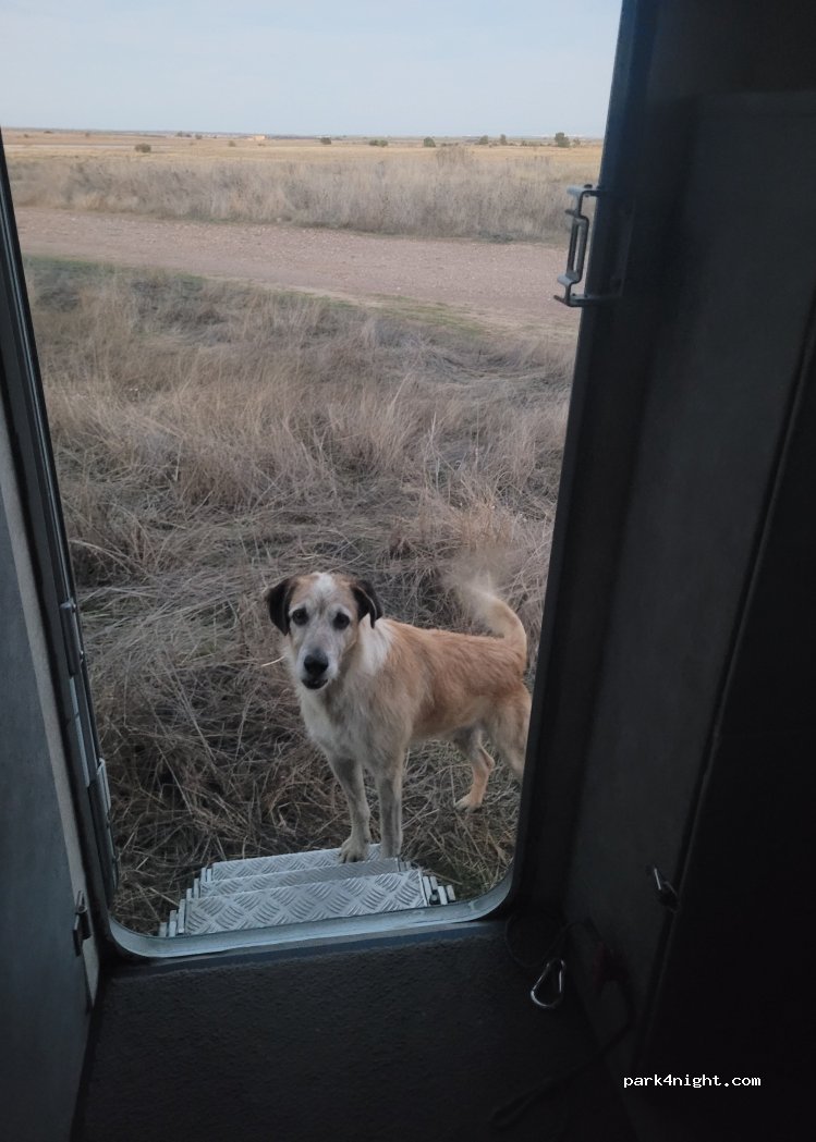 Ervidel, Beja thumbnail 3