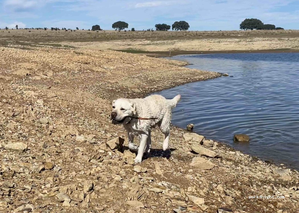 Ervidel, Beja thumbnail 4