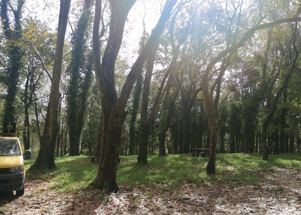 Cacia - Rua Campo photo 2