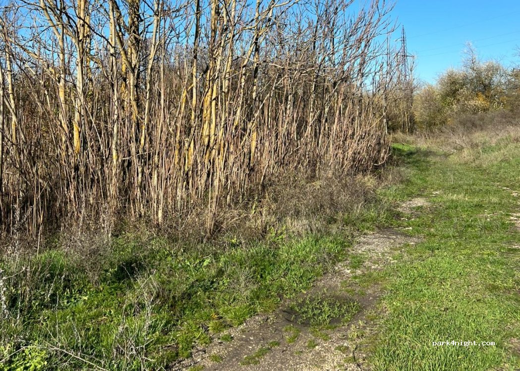 (905101) Siminoc - Unnamed Road photo 4