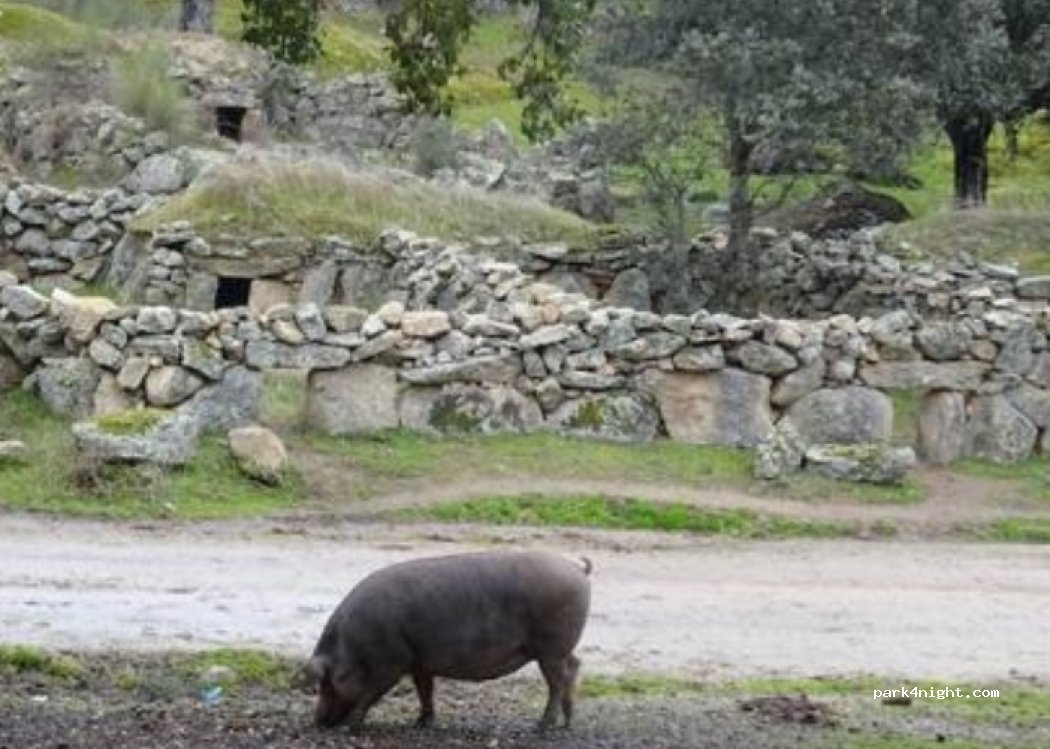 Torrequemada, 47 Calle Ejido thumbnail 5