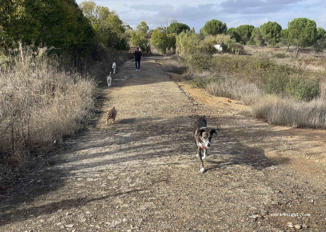 Azinheira dos Barros, Setúbal thumbnail 2